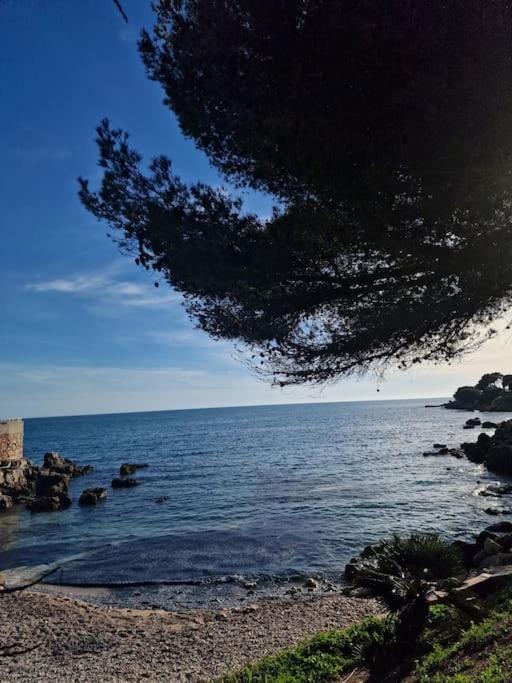 T2 Neuf, Parking Prive,Acces Mer Bandol Exterior foto
